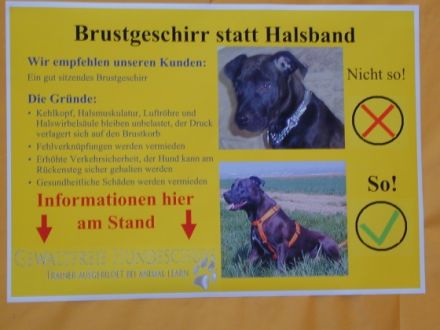 Hundeschule Top als Team