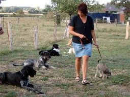 Hundeschule Leutermann