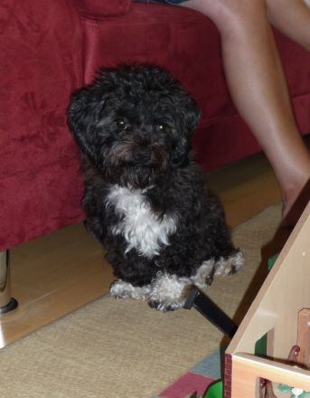 vom Eltingmühlenbach