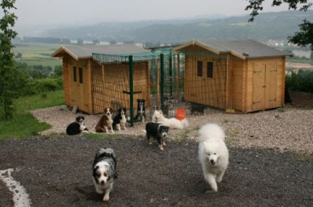 Hopevalley`s Hundepension