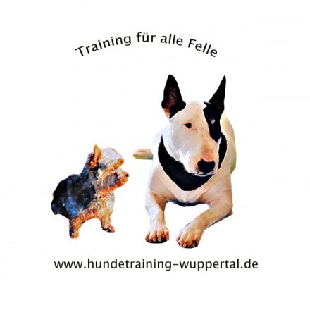 Hundetraining Wuppertal - Training für alle Felle