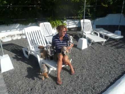 Gran Canaria Cho Manuel Residence