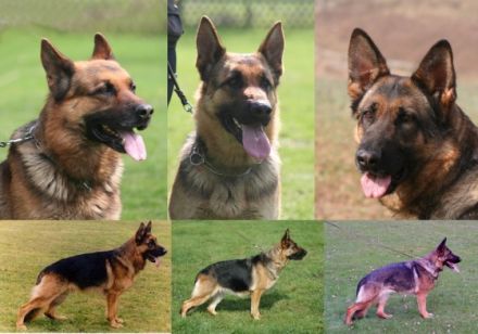 von der Einflugschneise