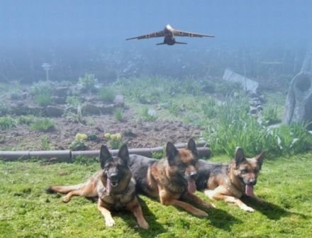 von der Einflugschneise