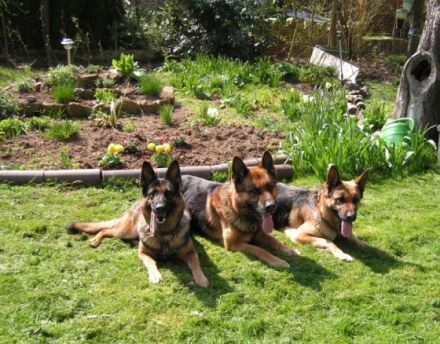 von der Einflugschneise