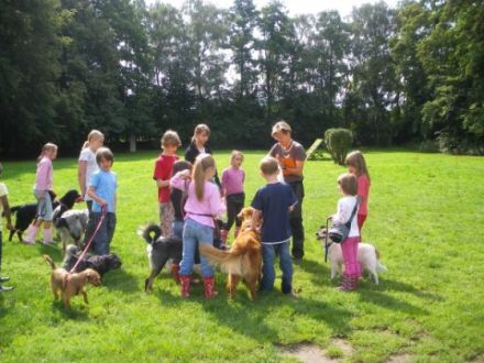 Team-Training für Mensch und Hund