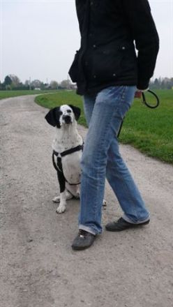 Pfotenakademie Ruhrgebiet