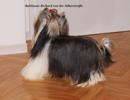 Balthasar-Richard von der Silberstraße