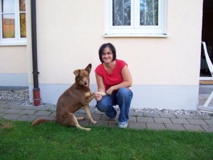 Hundeschule Harmony