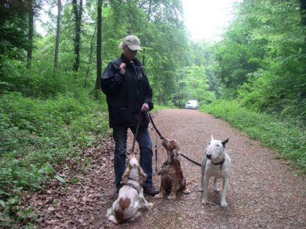 Cor Caroli`s Hundeverhaltenstherapie