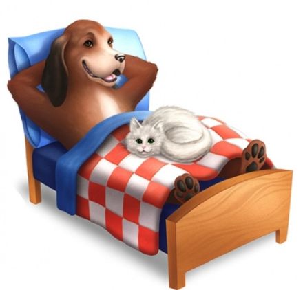 1aa Hundehotel Pohlmeyer Walsrode