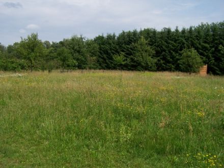 1aa Hundehotel Pohlmeyer Walsrode