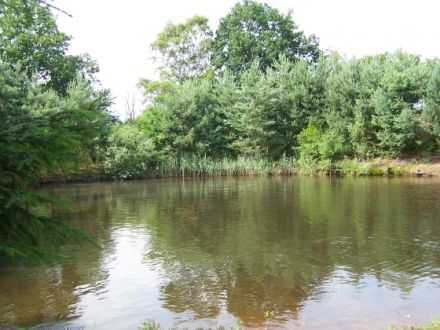 1aa Hundehotel Pohlmeyer Walsrode