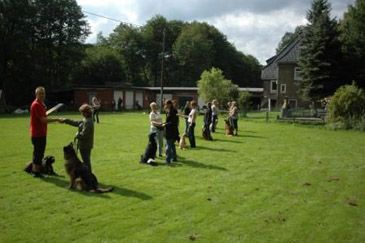 Hundeschule TIMO Witten