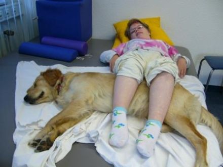 Hundeschule TIMO Witten