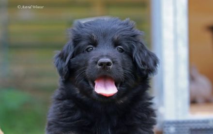 vom Wintersteiner Hofgarten