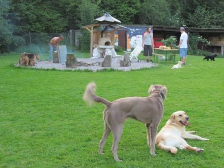 Hundepension Zaubermöndli