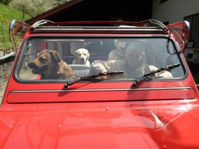 Hundepension Zaubermöndli