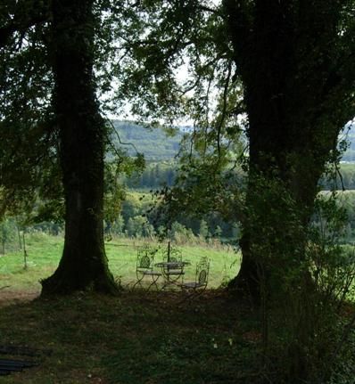 Hundepension Zaubermöndli