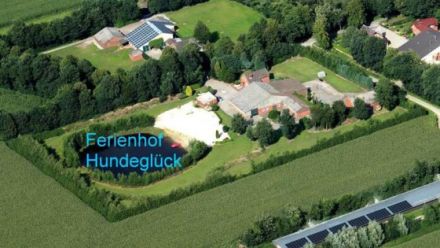 Hof Hundeglück in Rhede, 20.000 m² + See