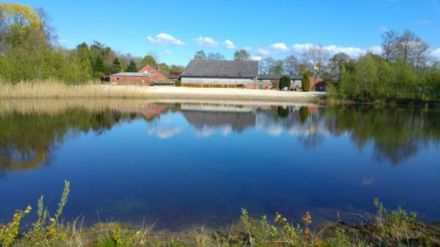 Hof Hundeglück in Rhede, 20.000 m² + See