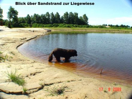 Hof Hundeglück in Rhede, 20.000 m² + See