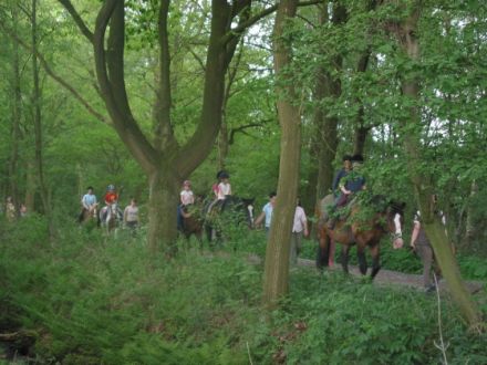 Die Domäne im Königsmoor