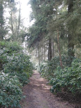 Die Domäne im Königsmoor