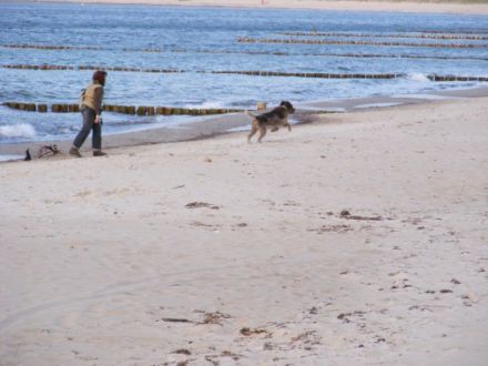 Hundeschule NelloBello