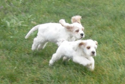 Legacy of Wilderness