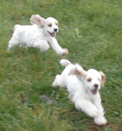 Legacy of Wilderness