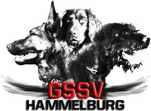GSSV Hammelburg e.V.