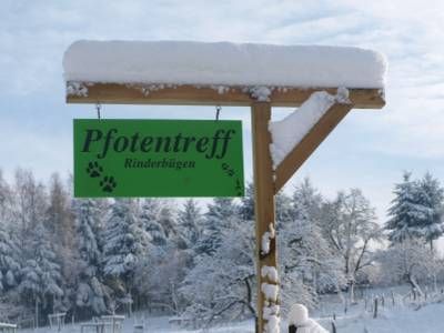 Pfotentreff-Rinderbügen
