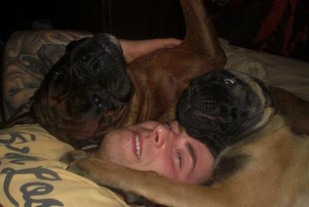 Hundeschule & Hundepension Helge Filipski