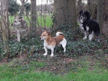 Der-Canis-Hof-Berthel