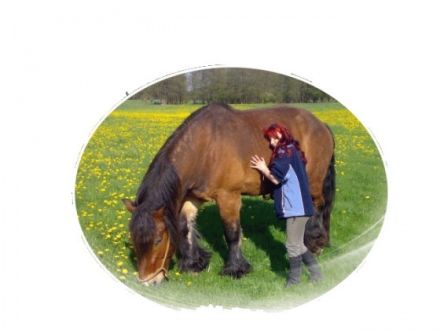 Tierheilpraxis Astrid Haupt