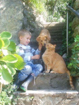 Appartementhaus Linter -Südtirol