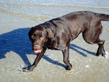 Ferienhaus Lucie  Urlaub an der Nordsee