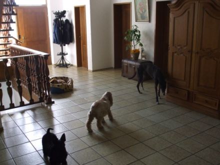 Hundumadum-Barbara Fischer