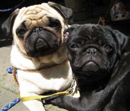 Zum Alten Zechenturm