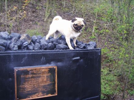 Zum Alten Zechenturm