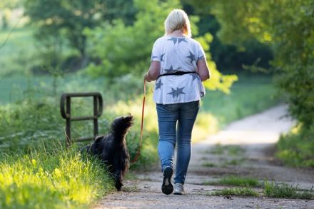 Hundeschule Voelkersweiler