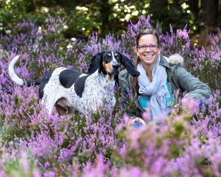 Hundeschule Voelkersweiler