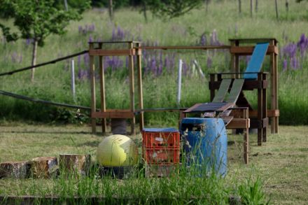 Hundeschule Voelkersweiler