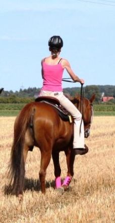 CAVALLCANI Tierphysiotherapie für Pferd und Hund