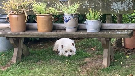 Ferienappartements-Usingen-Taunus