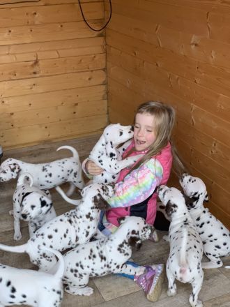 Von der Bad Münstereifeler Höhe