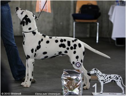Von der Bad Münstereifeler Höhe