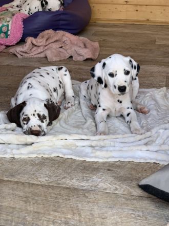 Von der Bad Münstereifeler Höhe