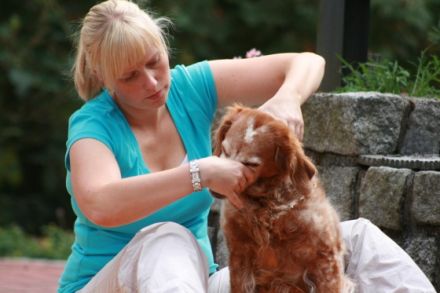 Hand-und-Hund Praxis für Hundeosteopathie/ Physiotherapie